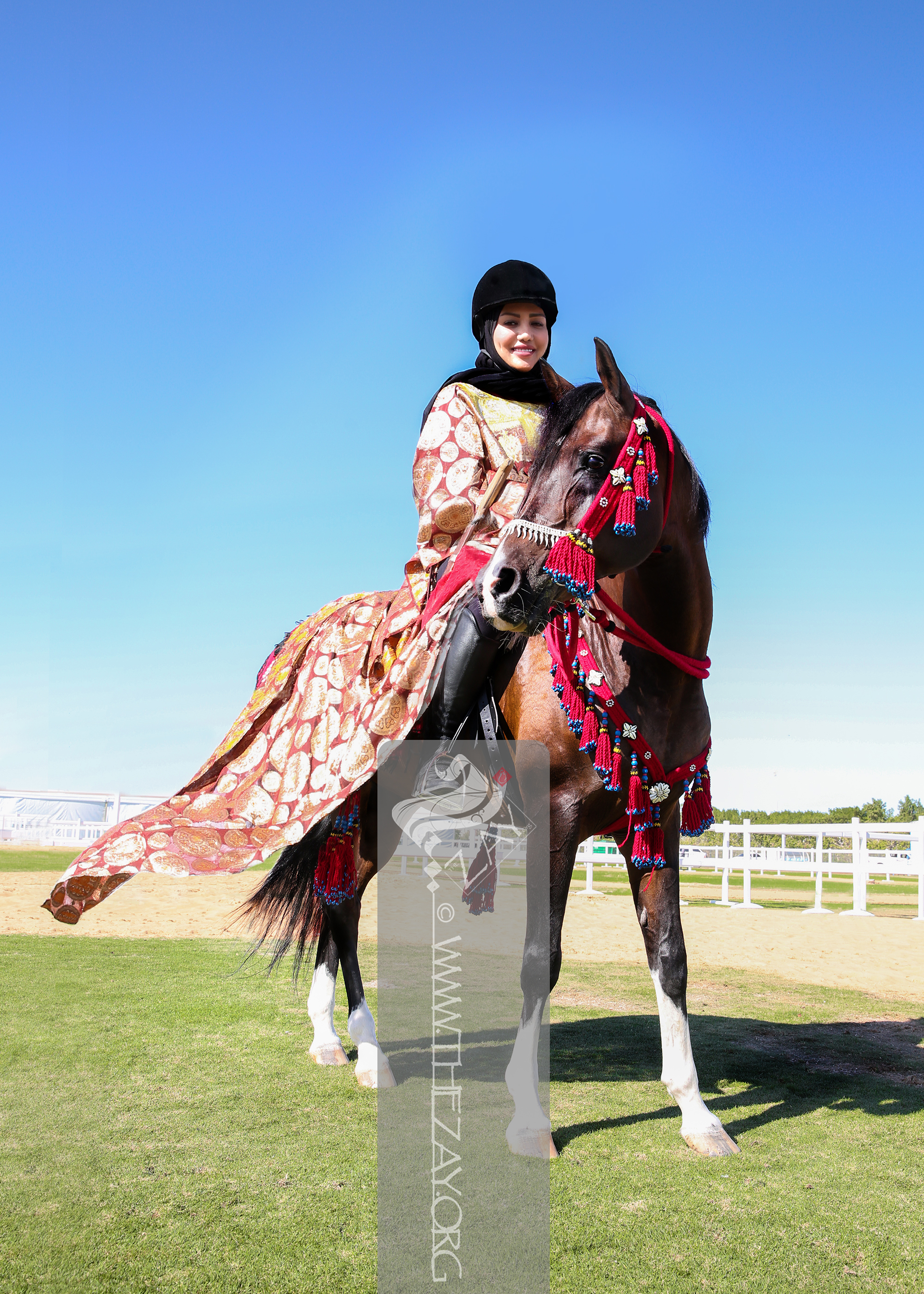 10. ZI 500504 T UAE